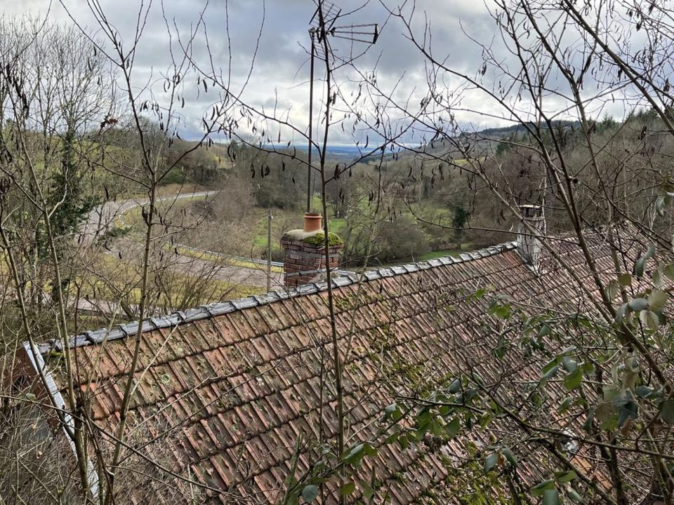 Landejendom i Bard-le-Regulier, Cote-d'Or - foto 2