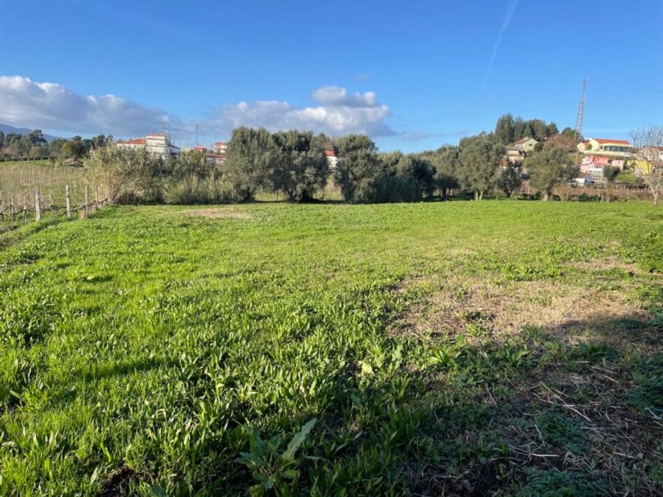 Terra em Ponte de Lima, Viana do Castelo - foto 2