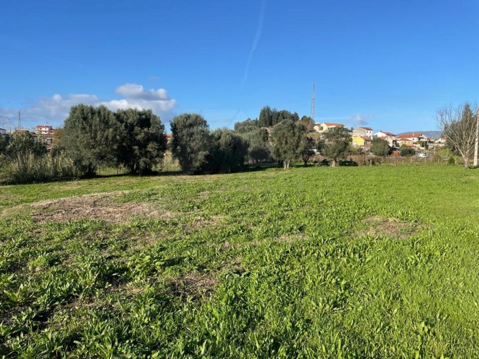 Terra em Ponte de Lima, Viana do Castelo - foto 3