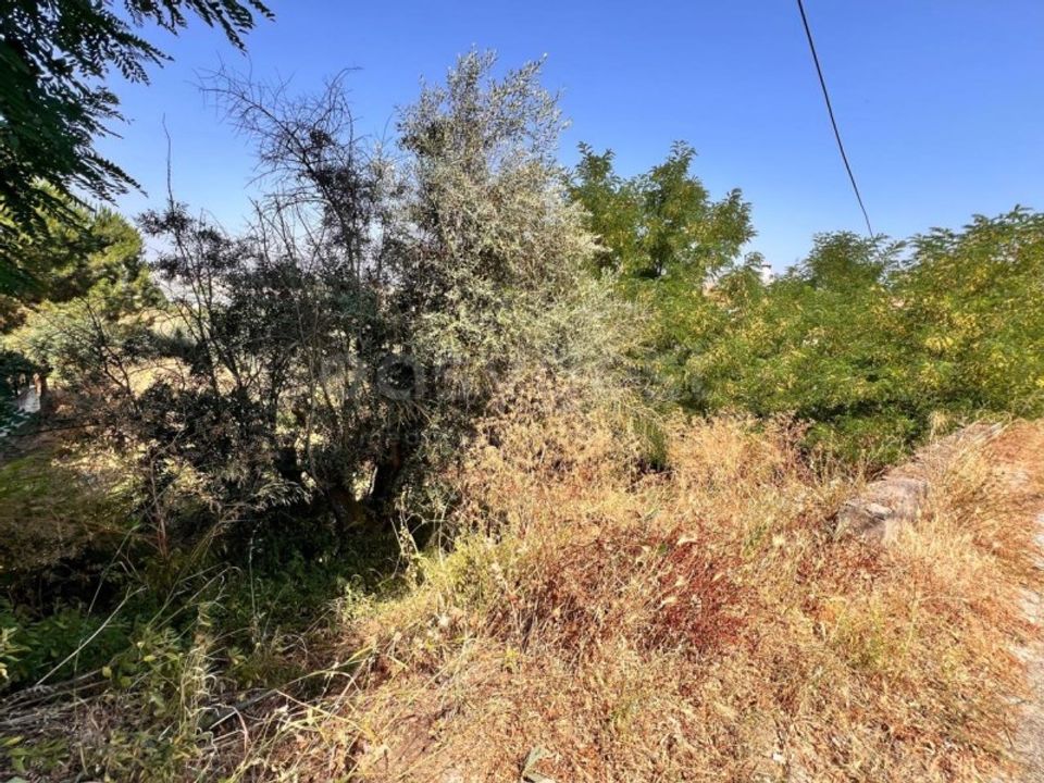 Helårsgrund i Abrantes, Santarem - foto 5