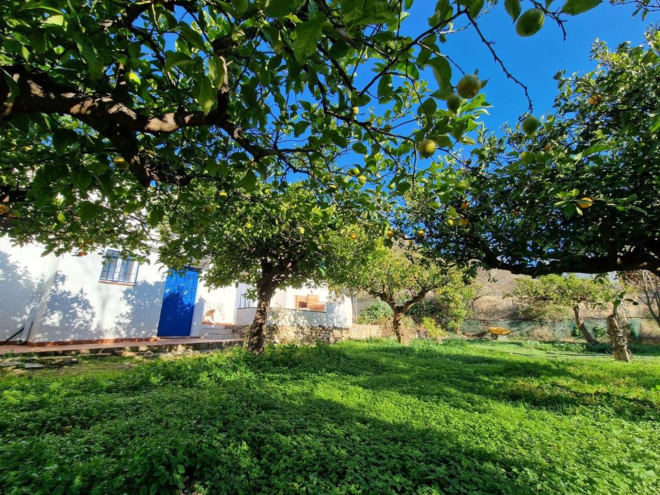 Villa i Alcaucin, Malaga - foto 4