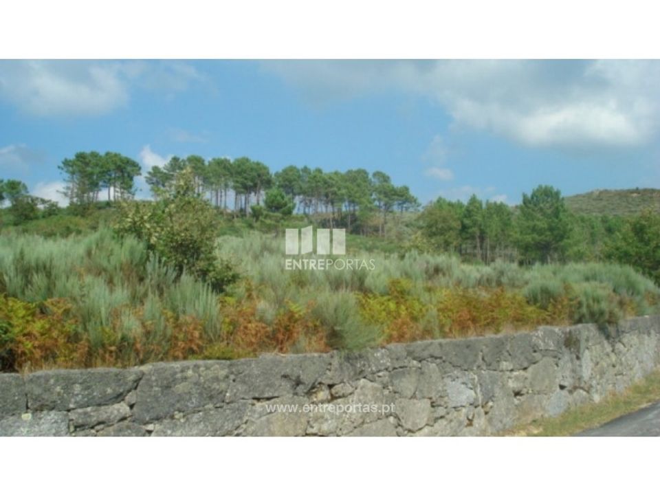 Tomt i Ancede e Ribadouro, Porto - bilde 1