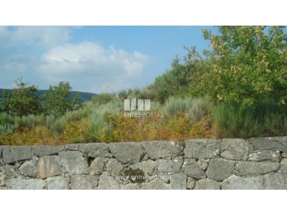 Tomt i Ancede e Ribadouro, Porto - bilde 2
