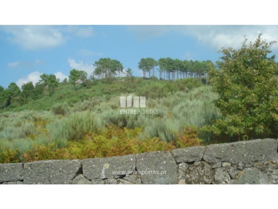 Tomt i Ancede e Ribadouro, Porto - bilde 3
