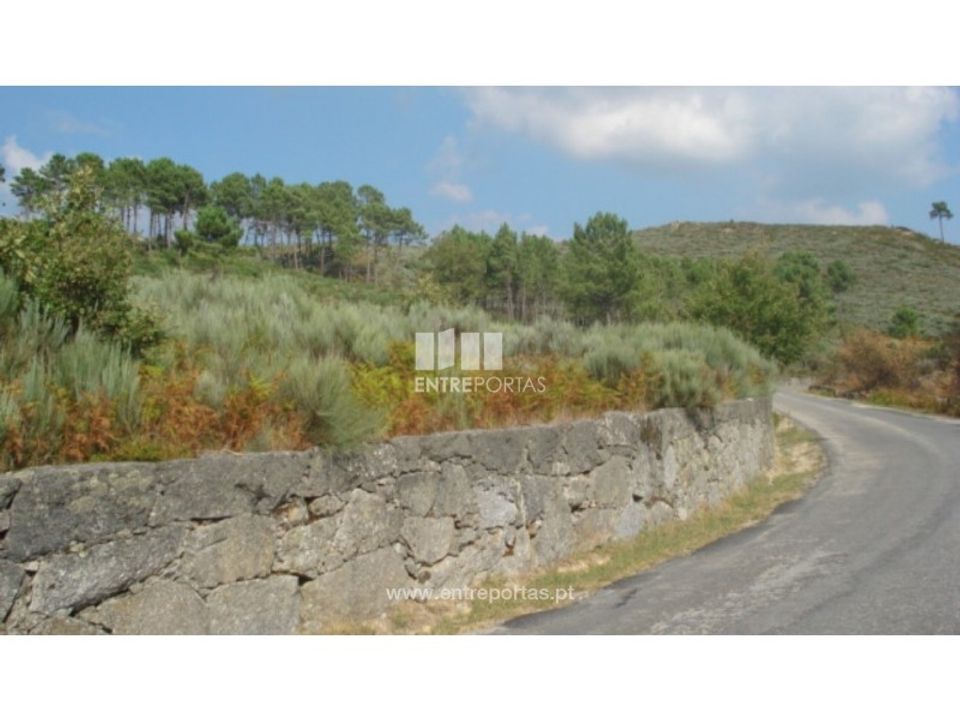 Tomt i Ancede e Ribadouro, Porto - bilde 4