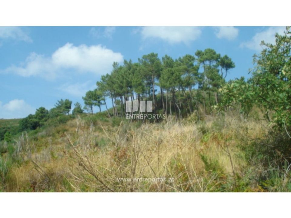 Terreno en Ancede e Ribadouro, Porto - foto 5