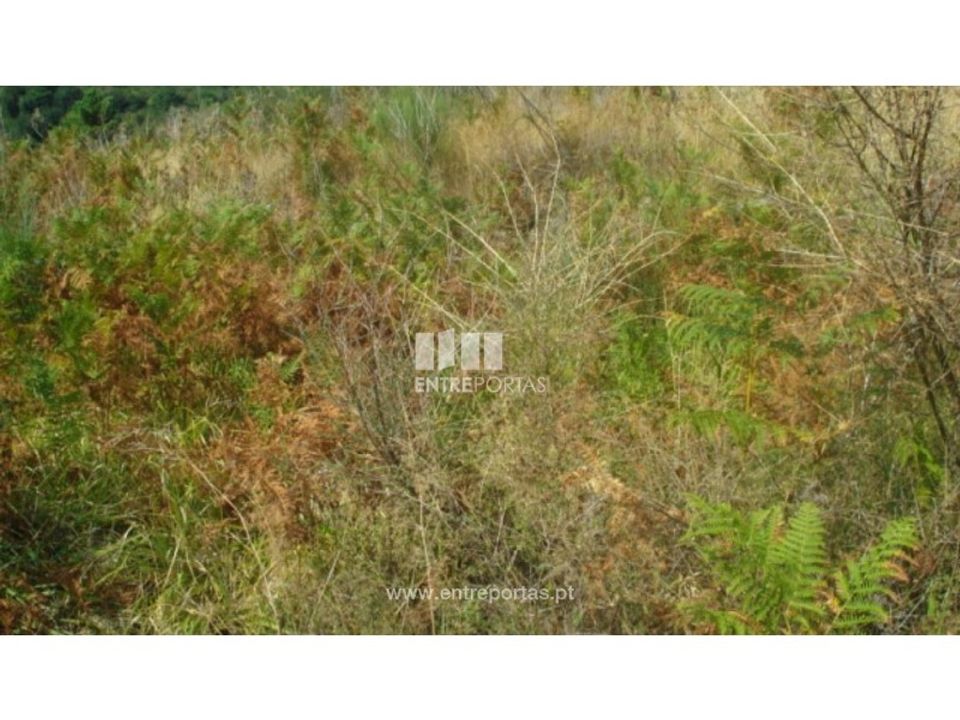 Terreno en Ancede e Ribadouro, Porto - foto 1