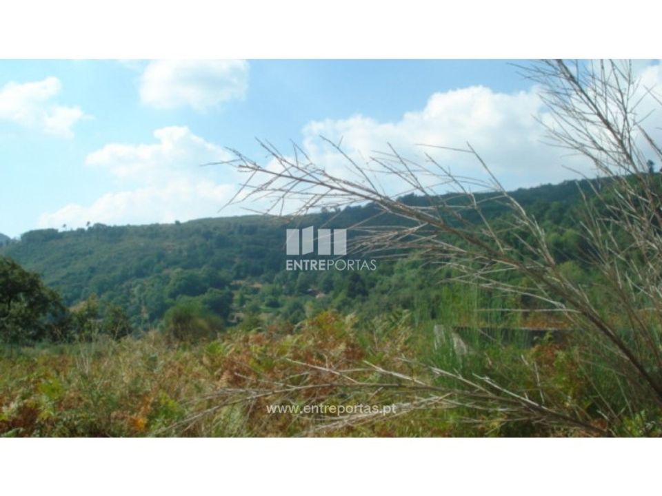 Terreno en Ancede e Ribadouro, Porto - foto 3