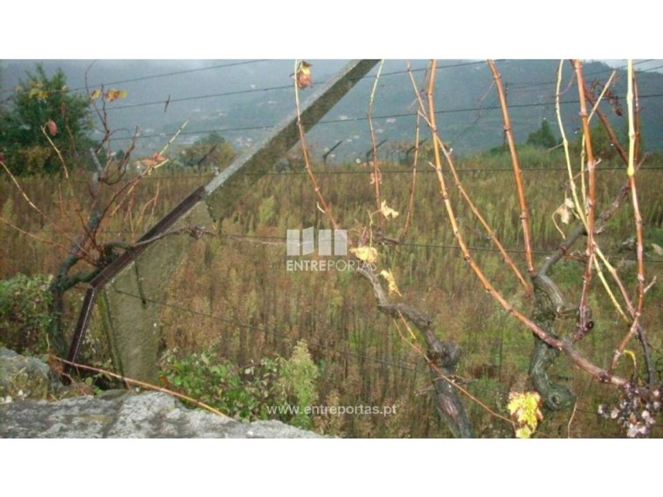 Tomt i Ancede e Ribadouro, Porto - bilde 2