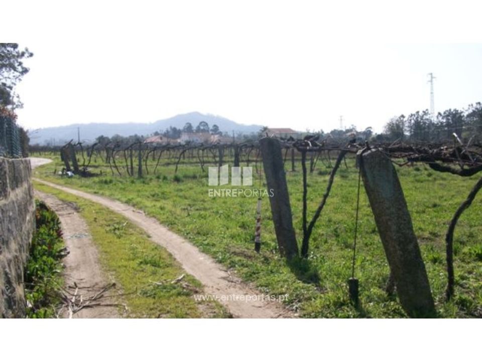 Helårsgrund i Darque, Viana do Castelo - foto 5