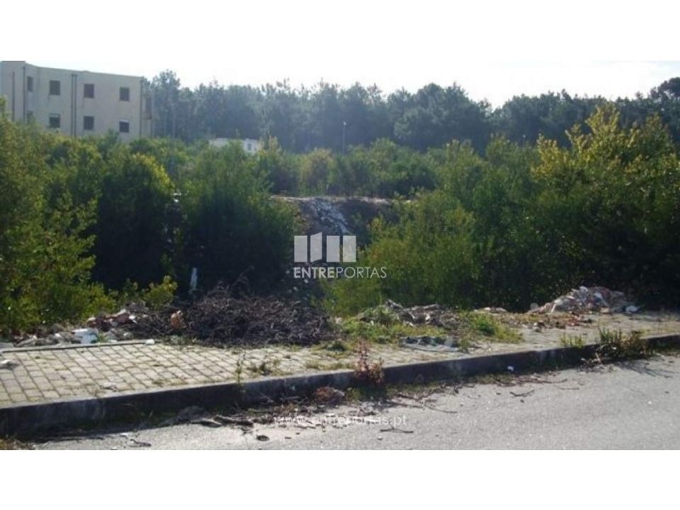 Terra a Darque, Viana do Castelo - foto 4
