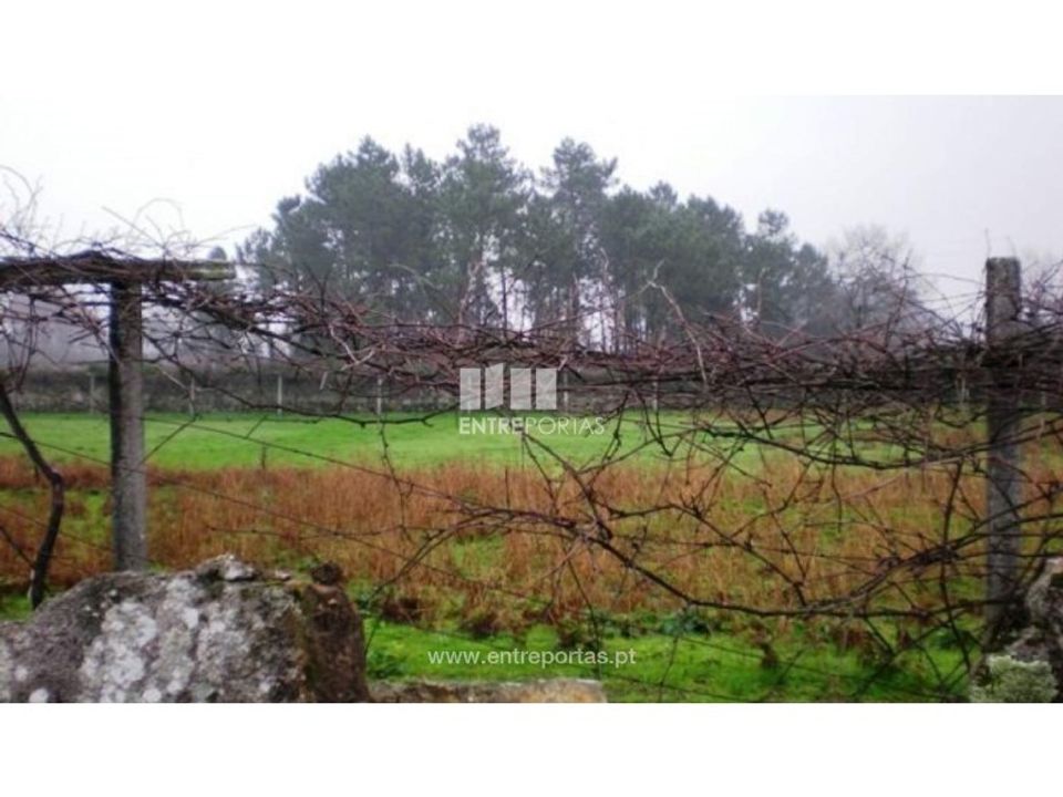 Helårsgrund i Viana do Castelo, Viana do Castelo - foto 4