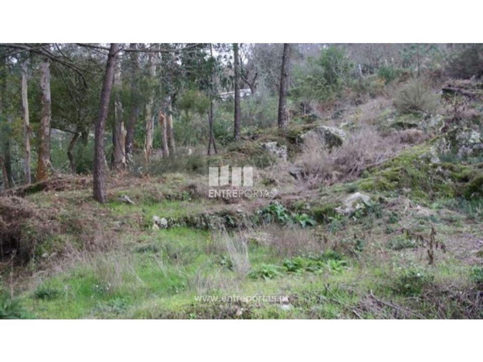 Helårsgrund i Venade e Azevedo, Viana do Castelo - foto 1