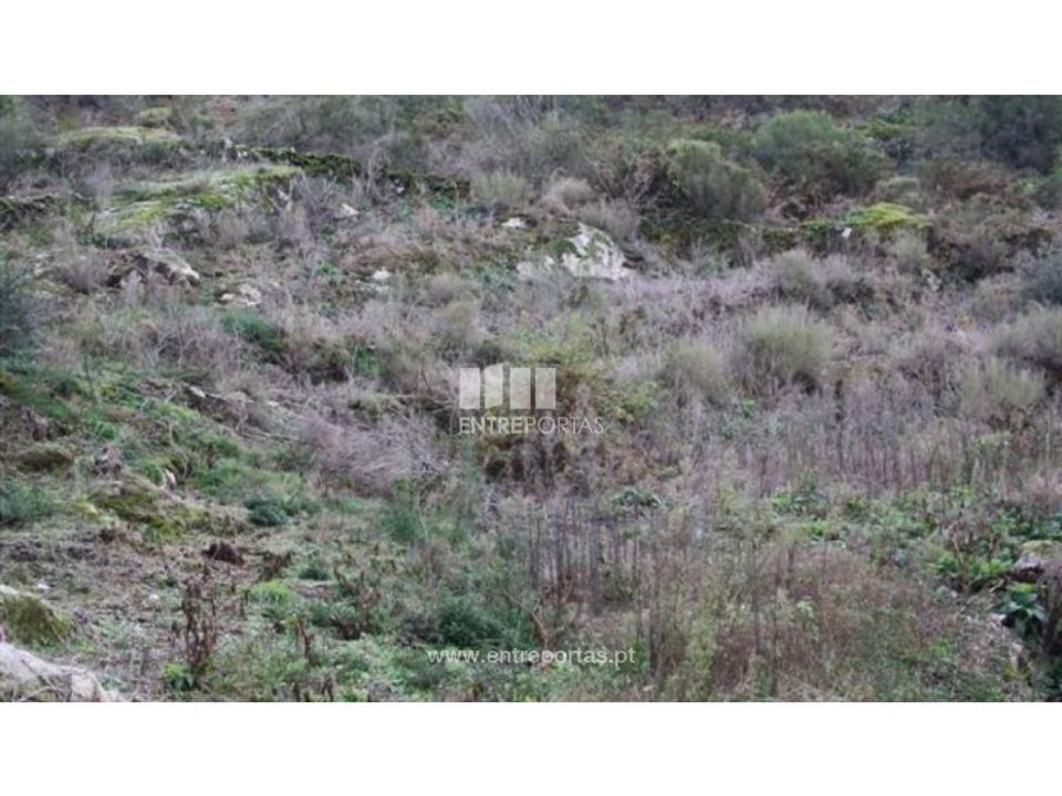 Helårsgrund i Venade e Azevedo, Viana do Castelo - foto 2