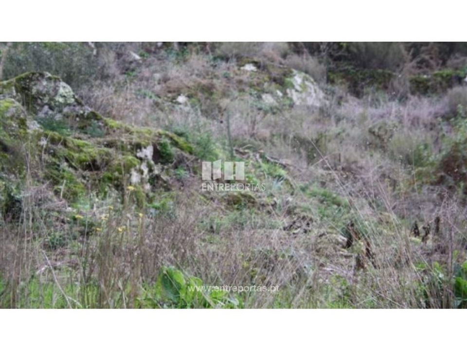Helårsgrund i Venade e Azevedo, Viana do Castelo - foto 5