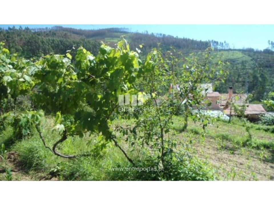 Tomt i Cinfaes, Viseu - bilde 4