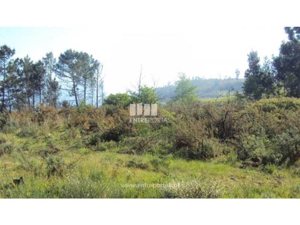 Helårsgrund i Ferreiros de Tendais, Viseu - foto 3