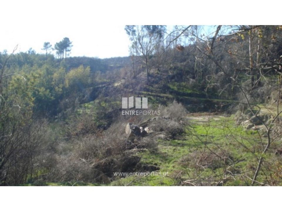 Tomt i Baiao, Porto - bilde 2