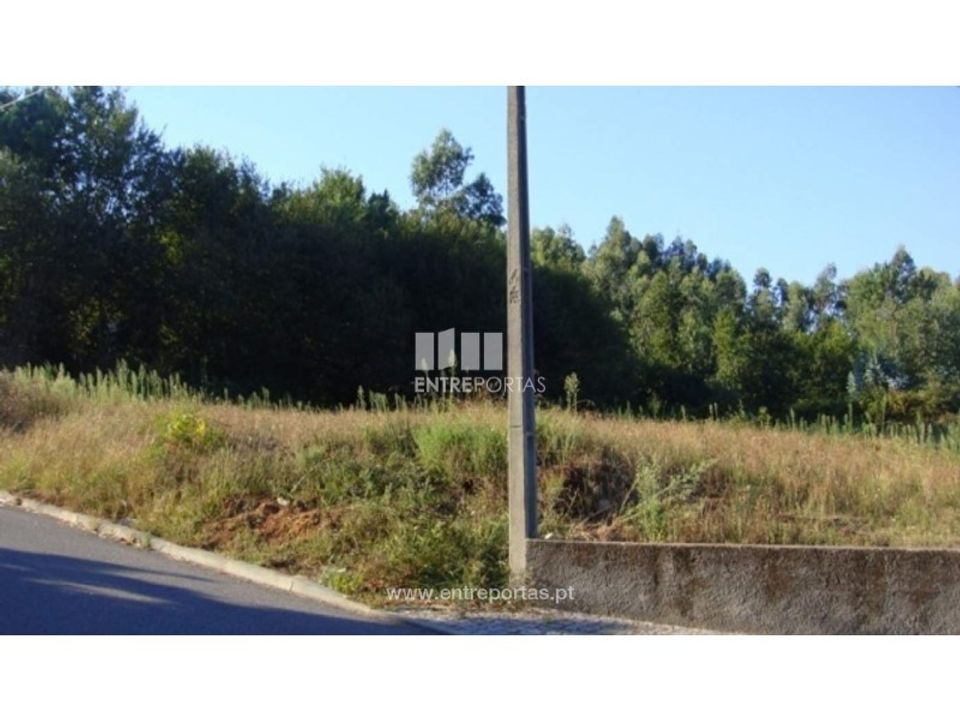 Tomt i Barroselas, Viana do Castelo - bilde 3