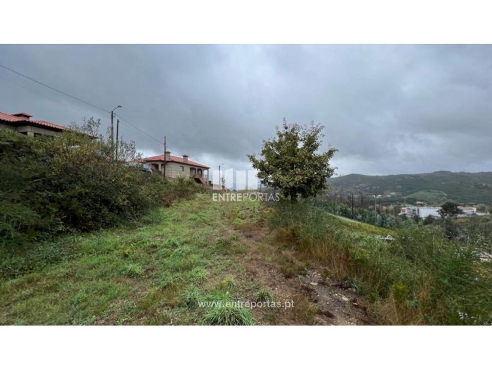Tomt i Ancede e Ribadouro, Porto - bilde 5