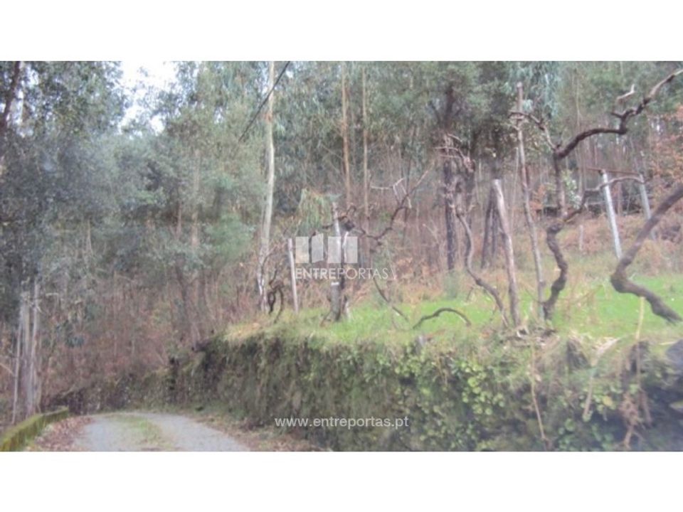 Helårsgrund i Ferreiros de Tendais, Viseu - foto 1