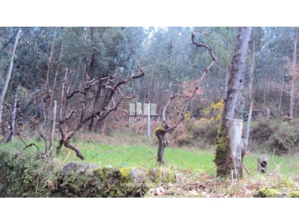 Helårsgrund i Ferreiros de Tendais, Viseu - foto 2