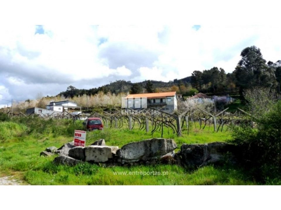 Tomt i Ancede e Ribadouro, Porto - bilde 5