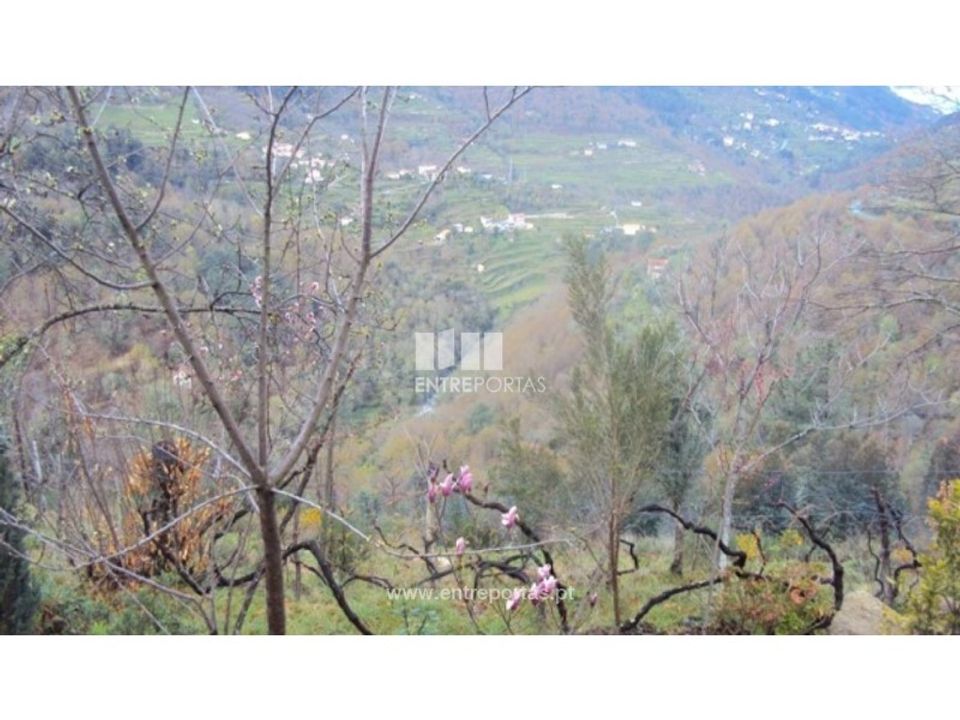Helårsgrund i Ferreiros de Tendais, Viseu - foto 2