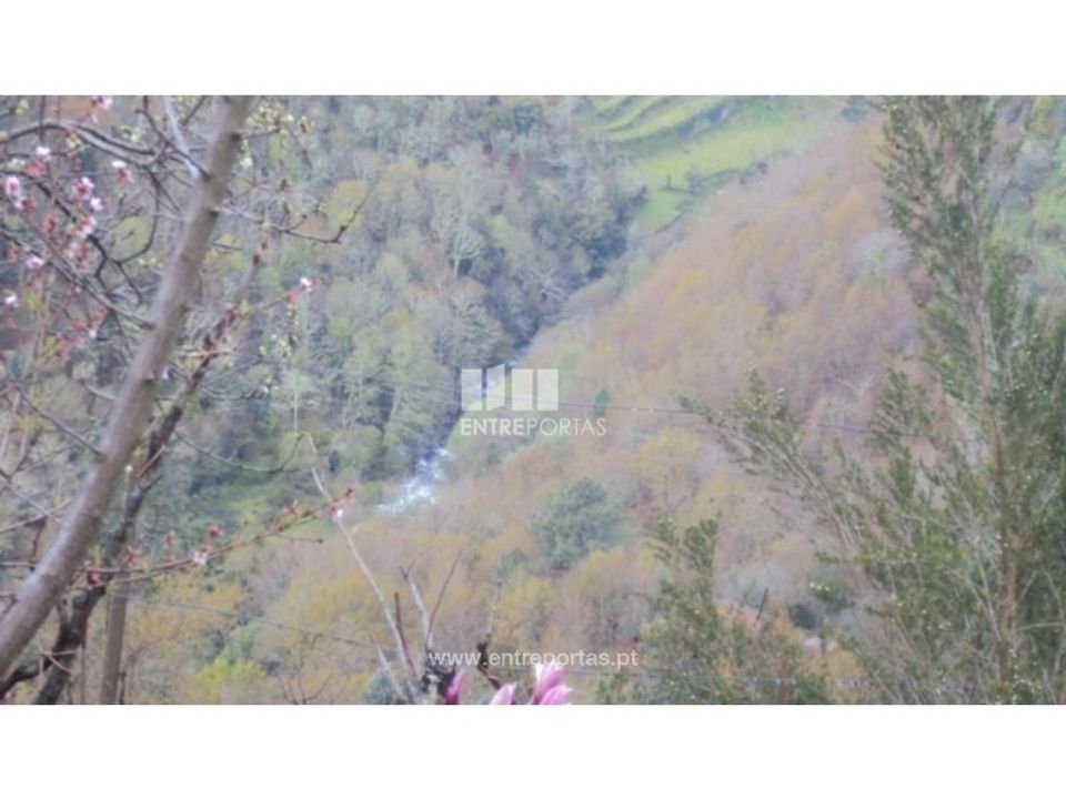 Helårsgrund i Ferreiros de Tendais, Viseu - foto 3