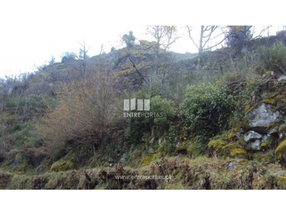 Helårsgrund i Ferreiros de Tendais, Viseu - foto 5