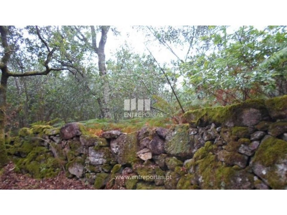 Tomt i Areosa, Viana do Castelo - bilde 1