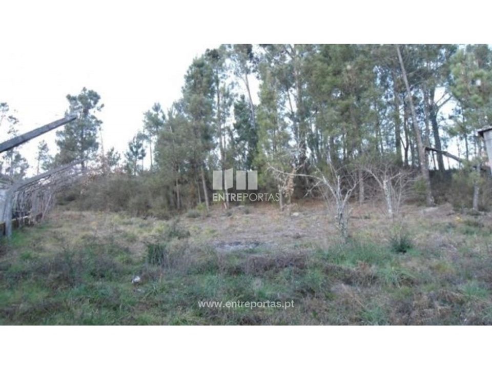 Terreno en Ancede e Ribadouro, Porto - foto 1