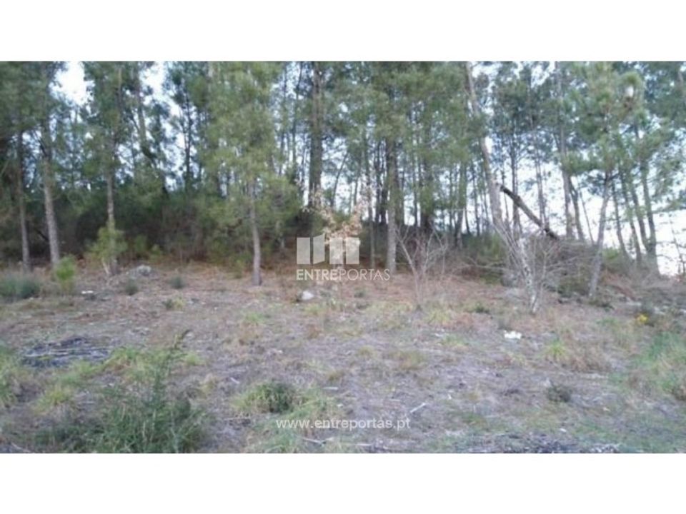 Terreno en Ancede e Ribadouro, Porto - foto 2
