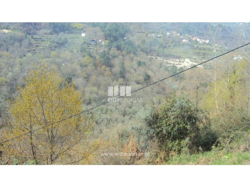 Helårsgrund i Ferreiros de Tendais, Viseu - foto 5