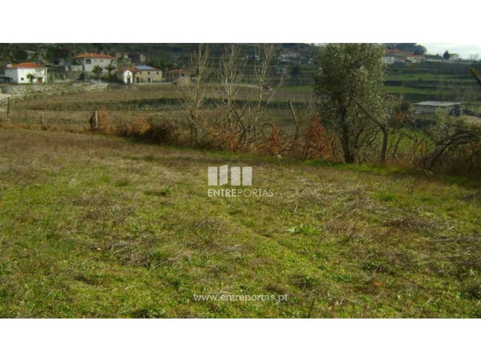 Helårsgrund i Baiao, Porto - foto 1