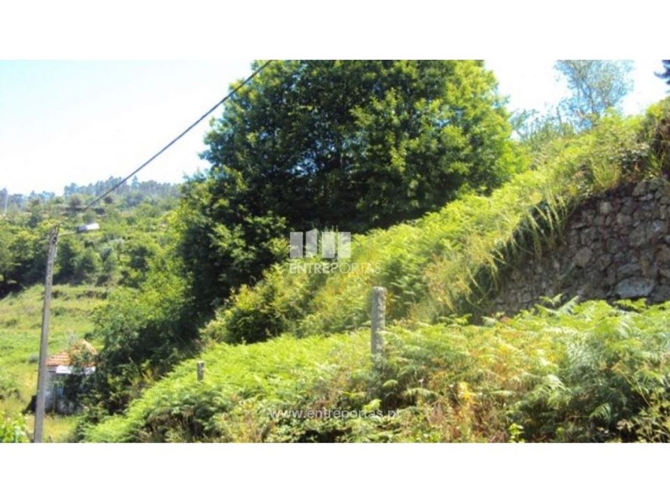 Helårsgrund i Ferreiros de Tendais, Viseu - foto 4