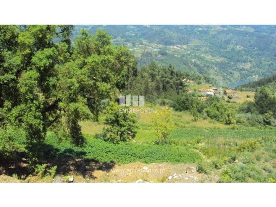 Helårsgrund i Ferreiros de Tendais, Viseu - foto 4