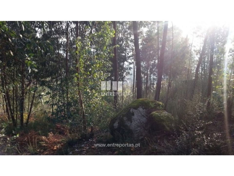 Helårsgrund i Castelo de Paiva, Aveiro - foto 4