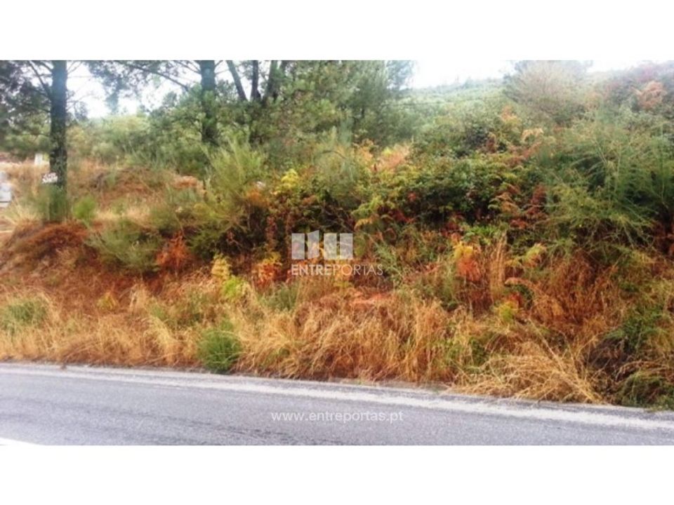 Terreno en Ancede e Ribadouro, Porto - foto 5
