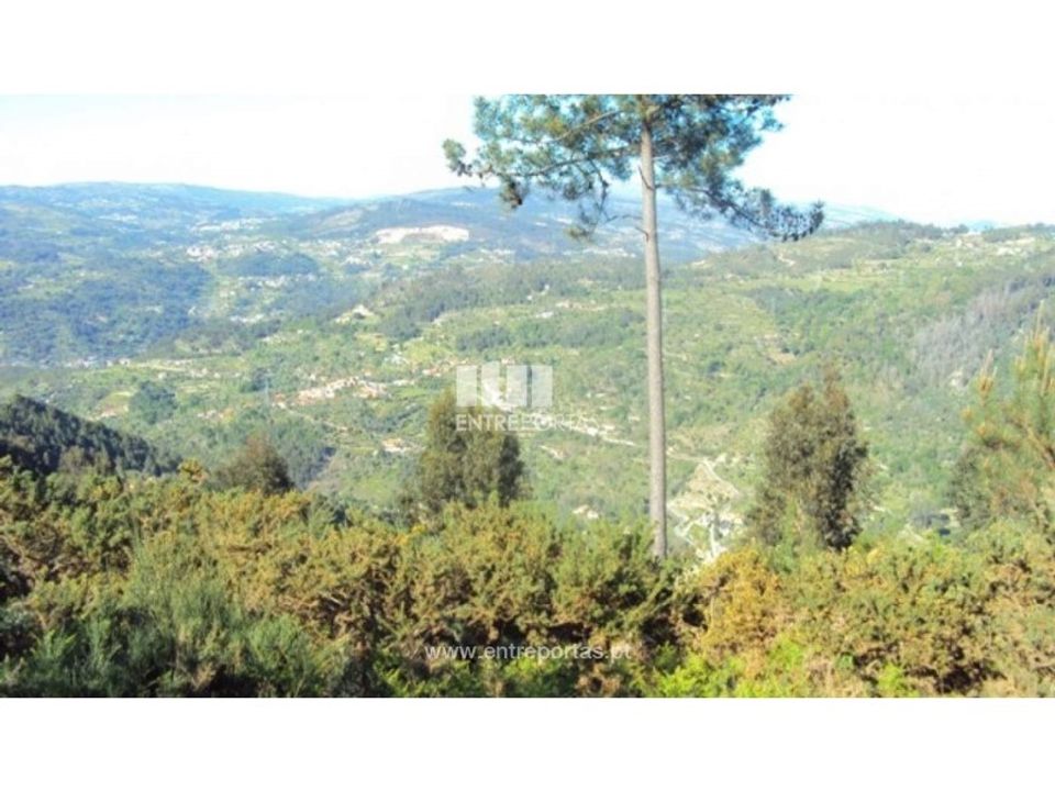 Helårsgrund i Ferreiros de Tendais, Viseu - foto 5