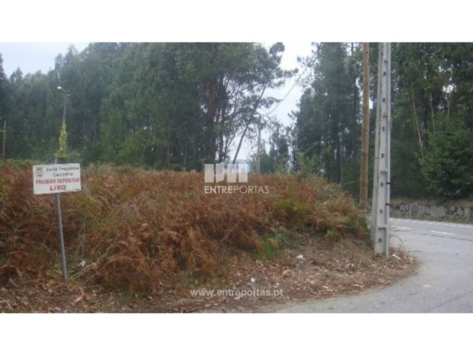 Helårsgrund i Barroselas, Viana do Castelo - foto 3