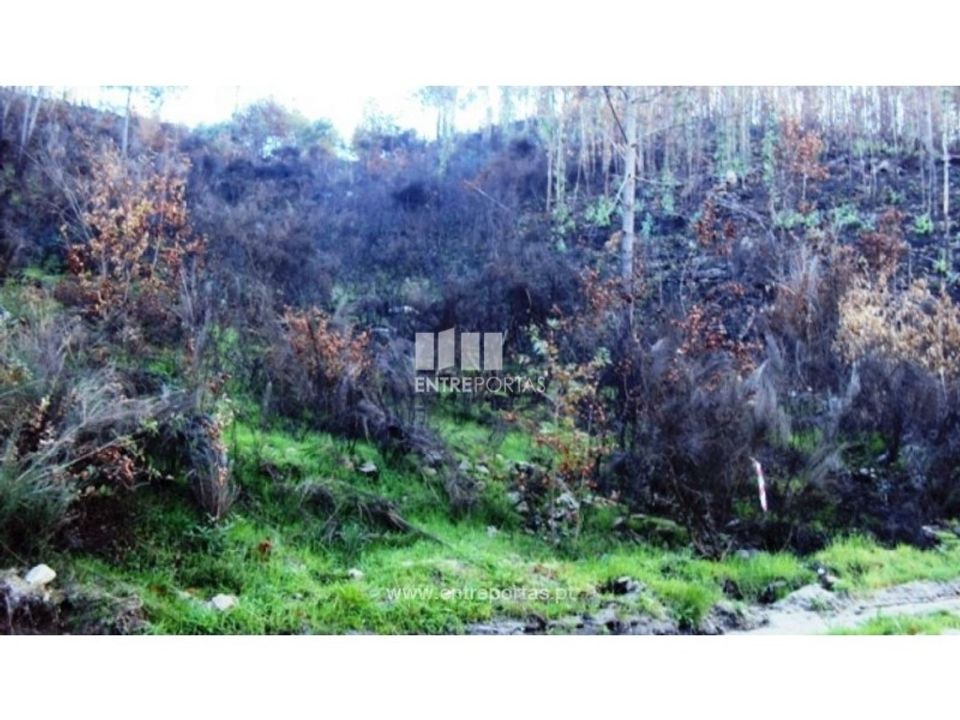 Helårsgrund i Ferreiros de Tendais, Viseu - foto 1