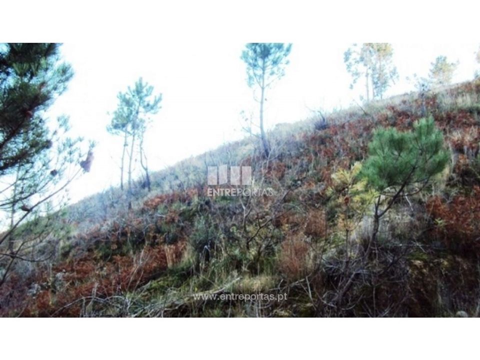 Helårsgrund i Ferreiros de Tendais, Viseu - foto 2