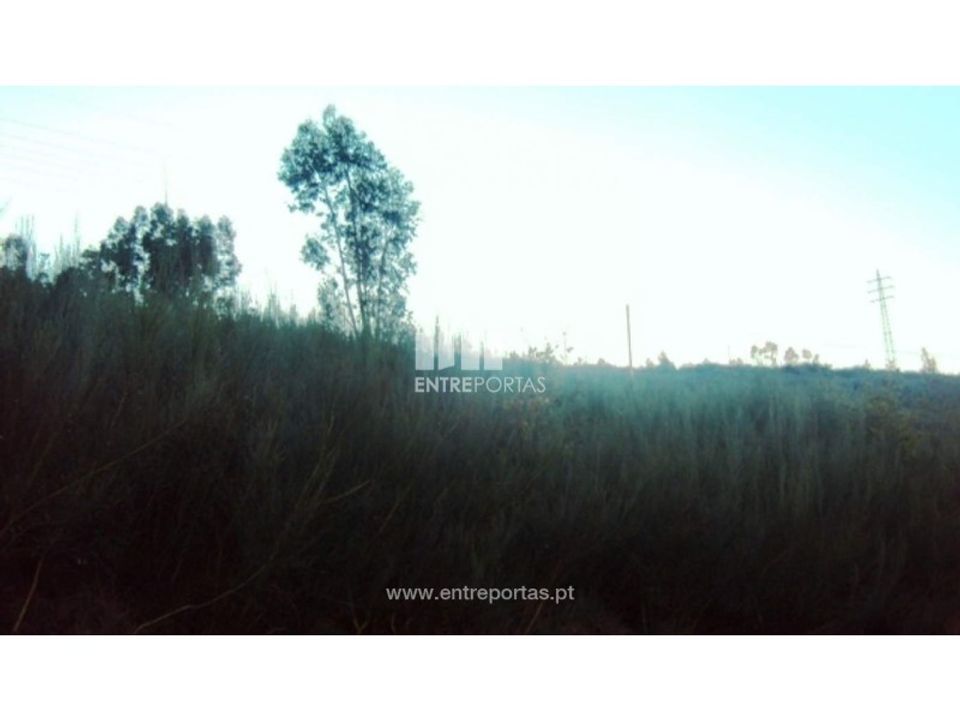 Helårsgrund i Ferreiros de Tendais, Viseu - foto 2