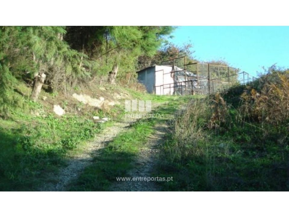Helårsgrund i Baiao, Porto - foto 2