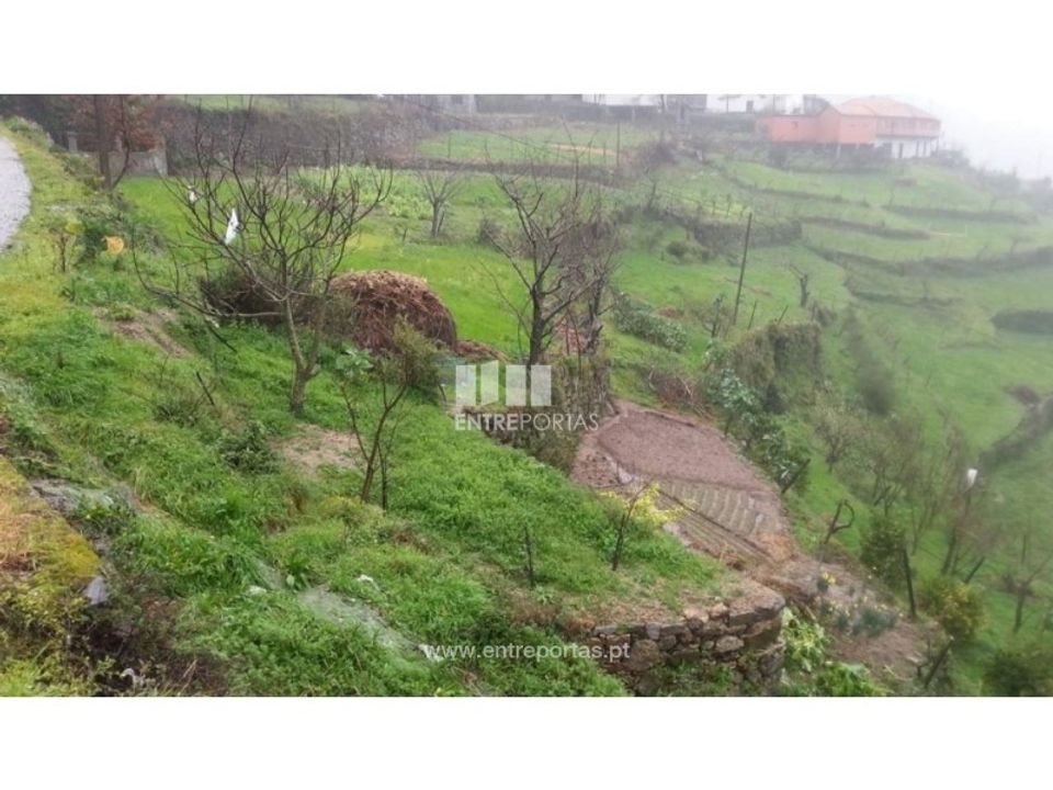 Tomt i Ancede e Ribadouro, Porto - bilde 1