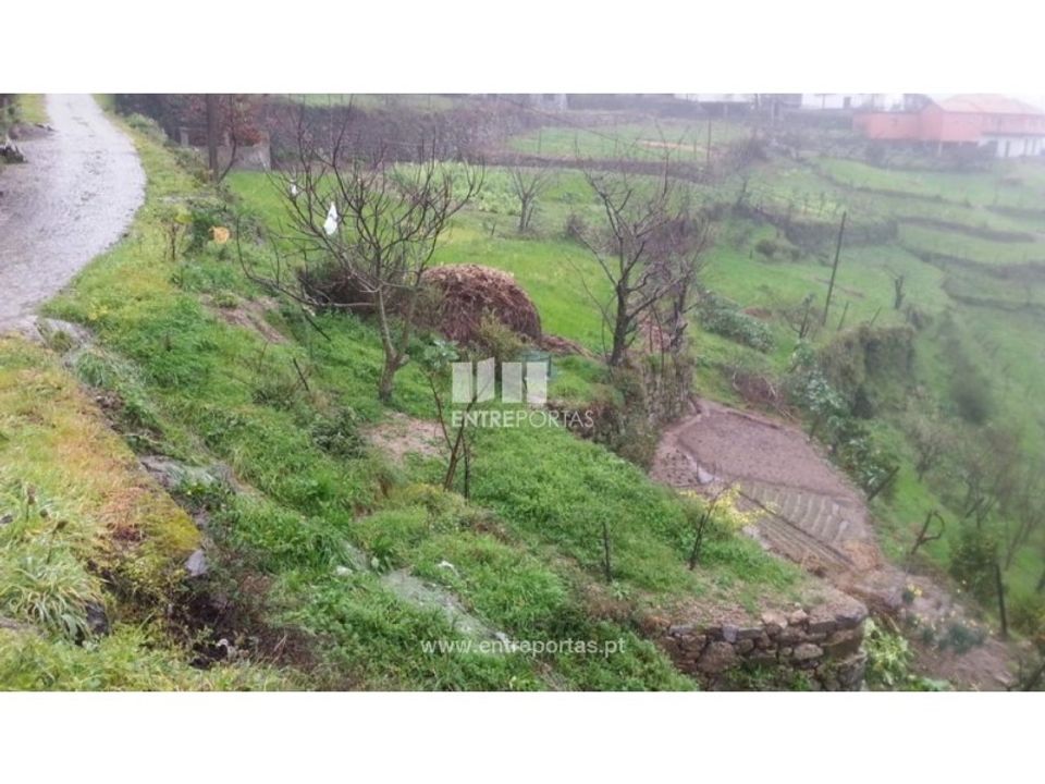 Tomt i Ancede e Ribadouro, Porto - bilde 2