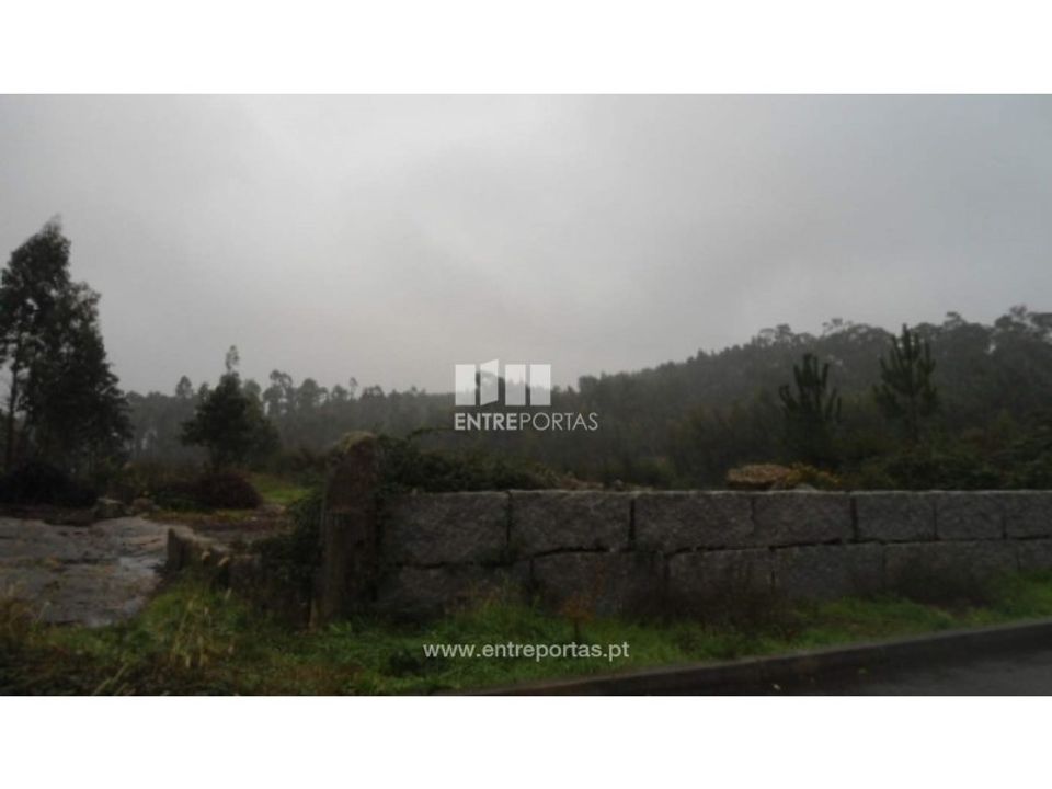 Helårsgrund i Penafiel, Porto - foto 5