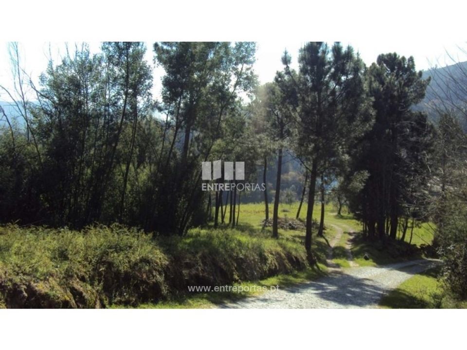 Terra a Ancede e Ribadouro, Porto - foto 3
