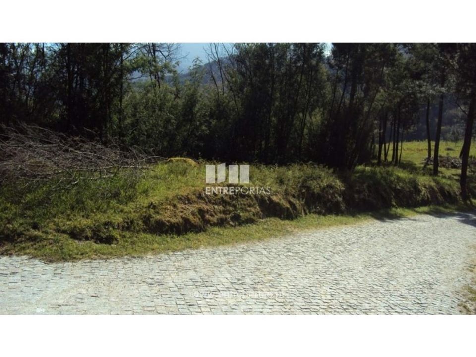 Terra a Ancede e Ribadouro, Porto - foto 5